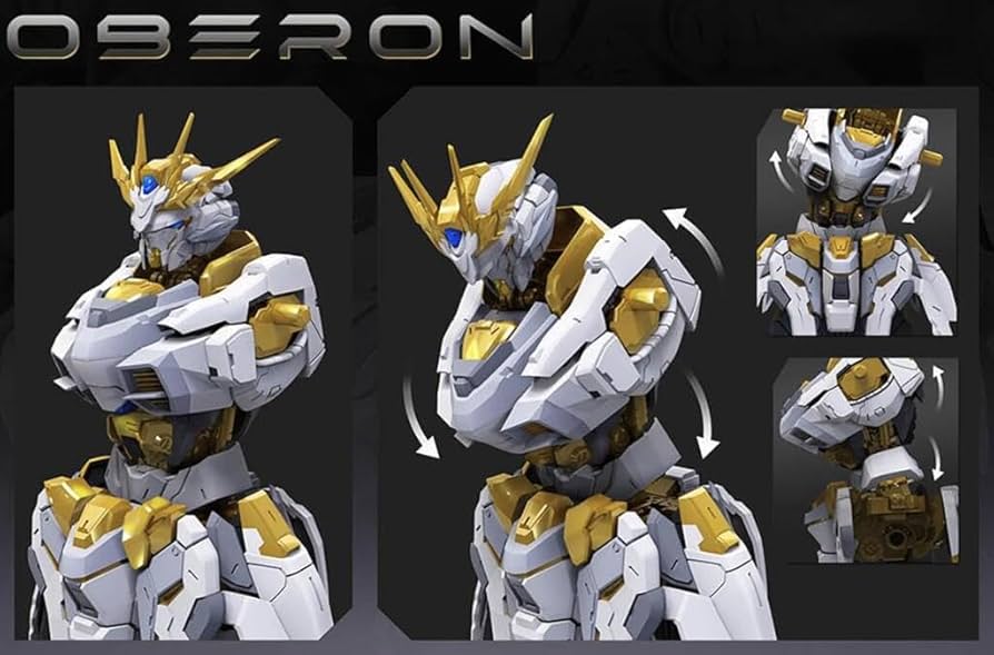 機核工業 1/100 天衛 OBERON オーベロン プラモデル 61NrxDE+PeL._UF894,1000_QL80_.jpg